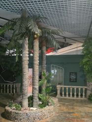 -贯日漂亮宝贝儿童摄影(红博中央公园店)