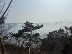 -星海湾跨海大桥