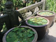 -超山青莲寺