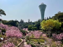 -狐尾山公园
