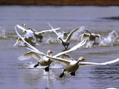 -泰安地下龙宫景区