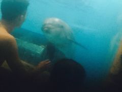 -波塞冬旅游度假区