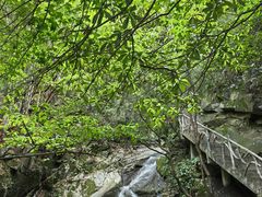 -藏龙百瀑风景区