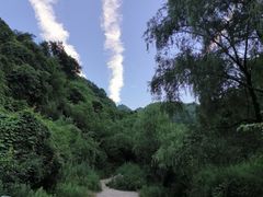 -抱龙峪