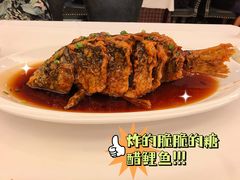 -金春禧(世茂国际广场店)