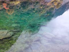 -叠溪松坪沟景区