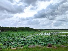 -上海海湾国家森林公园
