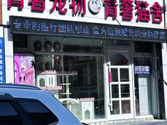 -青奢宠物·青奢猫舍