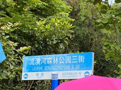 -广州市流溪河国家森林公园