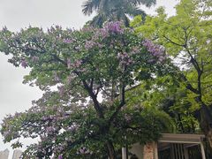 -南宁南湖公园