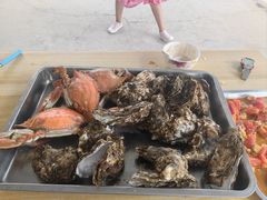 -养马岛旅游度假区