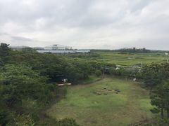 -雪绿茶博物馆