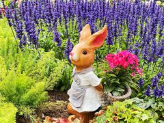 -人民公园(罗湖区)