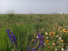 -敕勒川草原文化旅游区