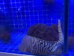 -南蚝小贝海鲜特色餐厅(南澳岛店)