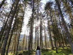 -硗碛藏寨·神木垒景区