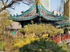 -迎泽公园