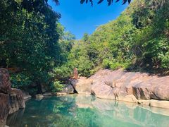 -广州白江湖森林公园