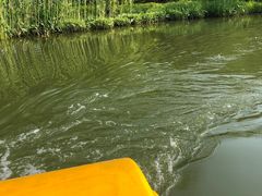 -苏州上方山国家森林公园