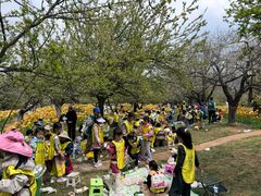 -名花谷生态庄园