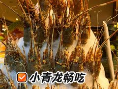 -亚马逊蒸汽活海鲜自助(LCM置汇旭辉广场店)