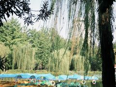 -绵阳人民公园(涪城区)