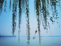 -湖滨客舍·湖北菜