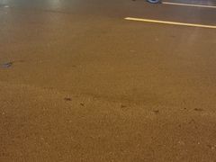-大石人家鱿鱼面馆(大石西路总店)