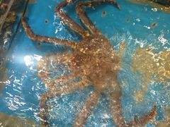 iphone_upload_pic-海景壹号大酒店(惠钱路店)