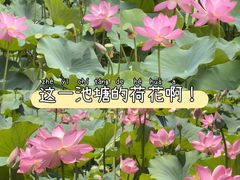 -南翠屏公园