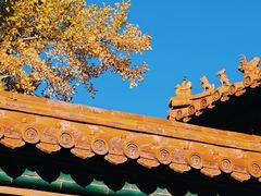-故宫博物院(故宫)