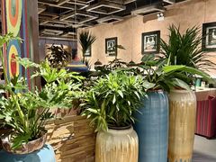 -雀舞云南菜(天津天河城购物中心店)