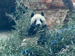 -石家庄市动物园