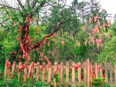 -黄山翡翠谷景区