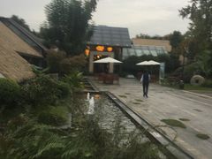-老房子金沙元年川菜食府·花园餐厅(金沙店)