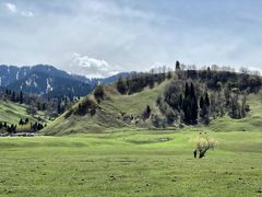 -新疆那拉提国家旅游度假区