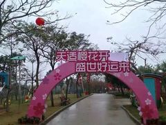 -天适樱花悠乐园