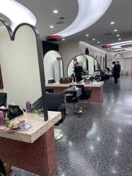 点击看大图 -IP SALON