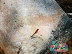 -碓臼峪自然风景区