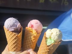 -成裕雪糕店(士多店)