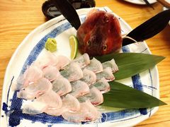 鸭嘴鱼刺身-加奈日本料理