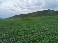 -扁都口生态休闲旅游区