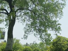 -钟山体育运动公园