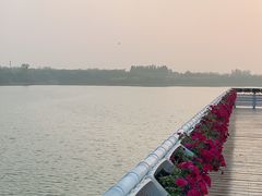 -大兴滨河森林公园