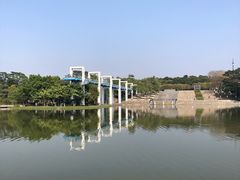 -东莞植物园
