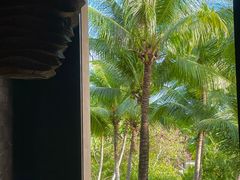 -海南清水湾莱佛士酒店