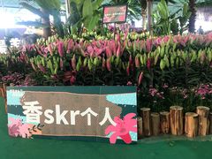 -万顷园艺世界