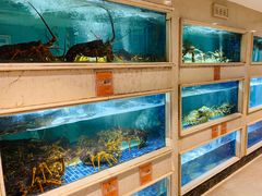 水产区-顺峰(农展馆店)