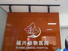 -瑞派福兴宠物医院犬猫全科·骨科·中西医结合(河东店)
