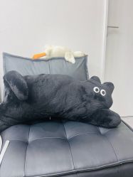 -DELAVAY黛乐薇抗衰中心